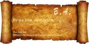 Brezina Antónia névjegykártya